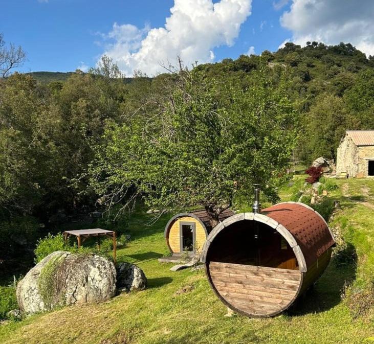 Photo of Others in Tralonca