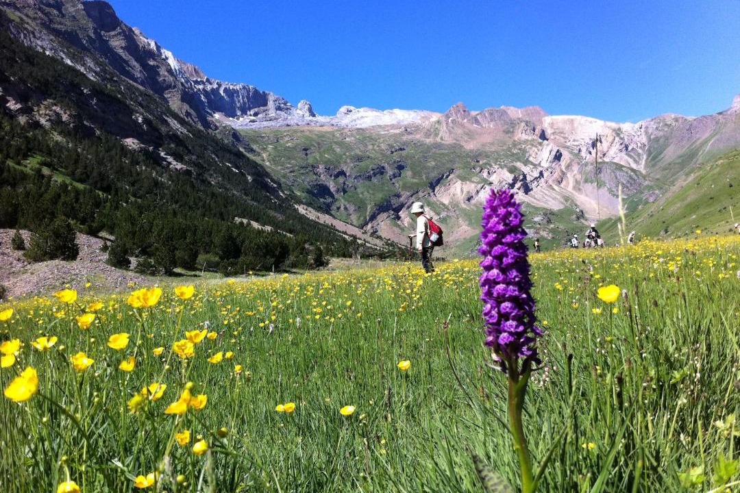 Photo of Others in Torla-Ordesa