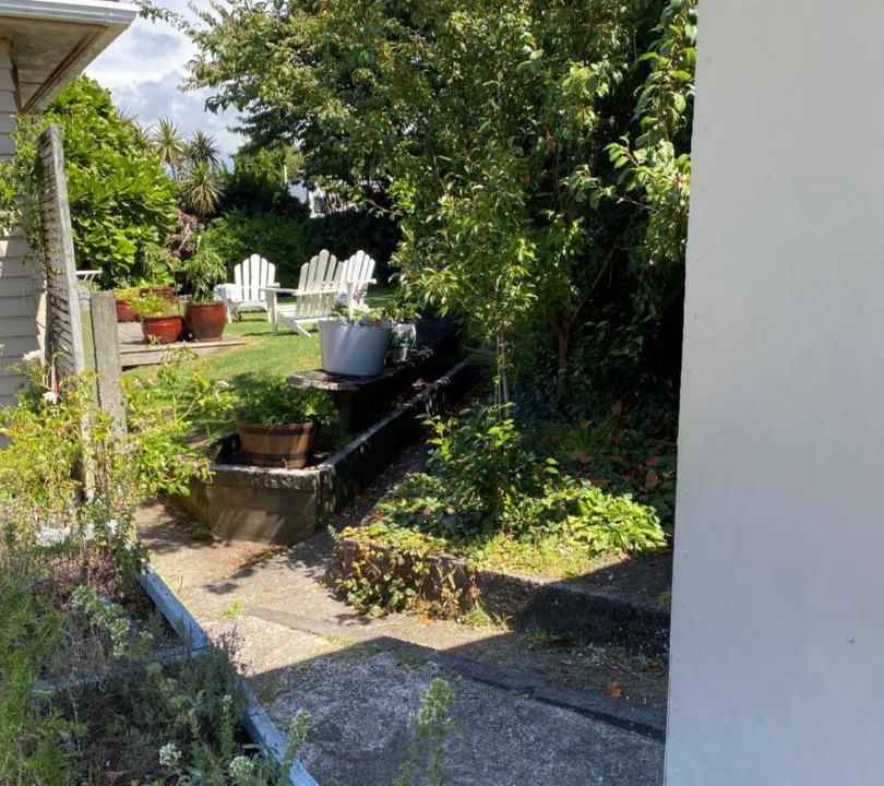 Photo of Others in New Plymouth