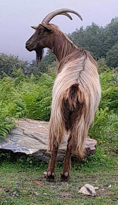 Photo of Others in Antisanti