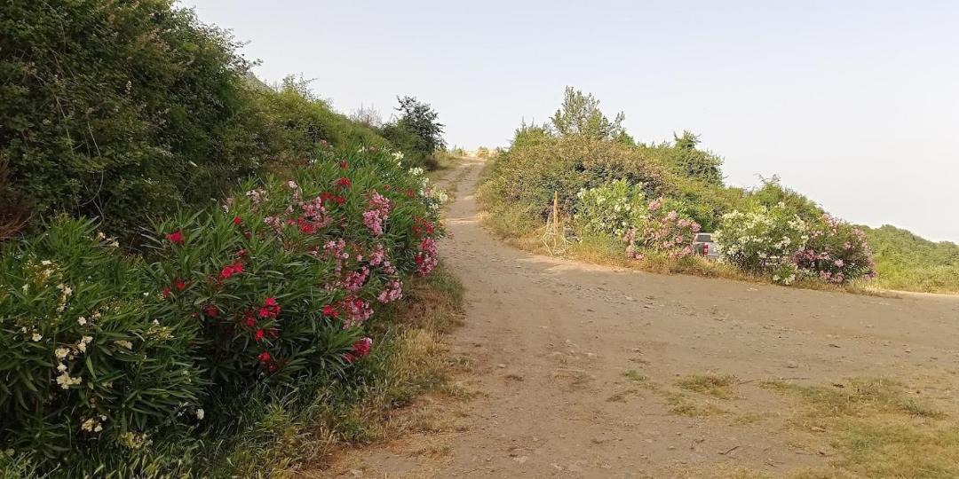 Photo of Outdoor in Antisanti