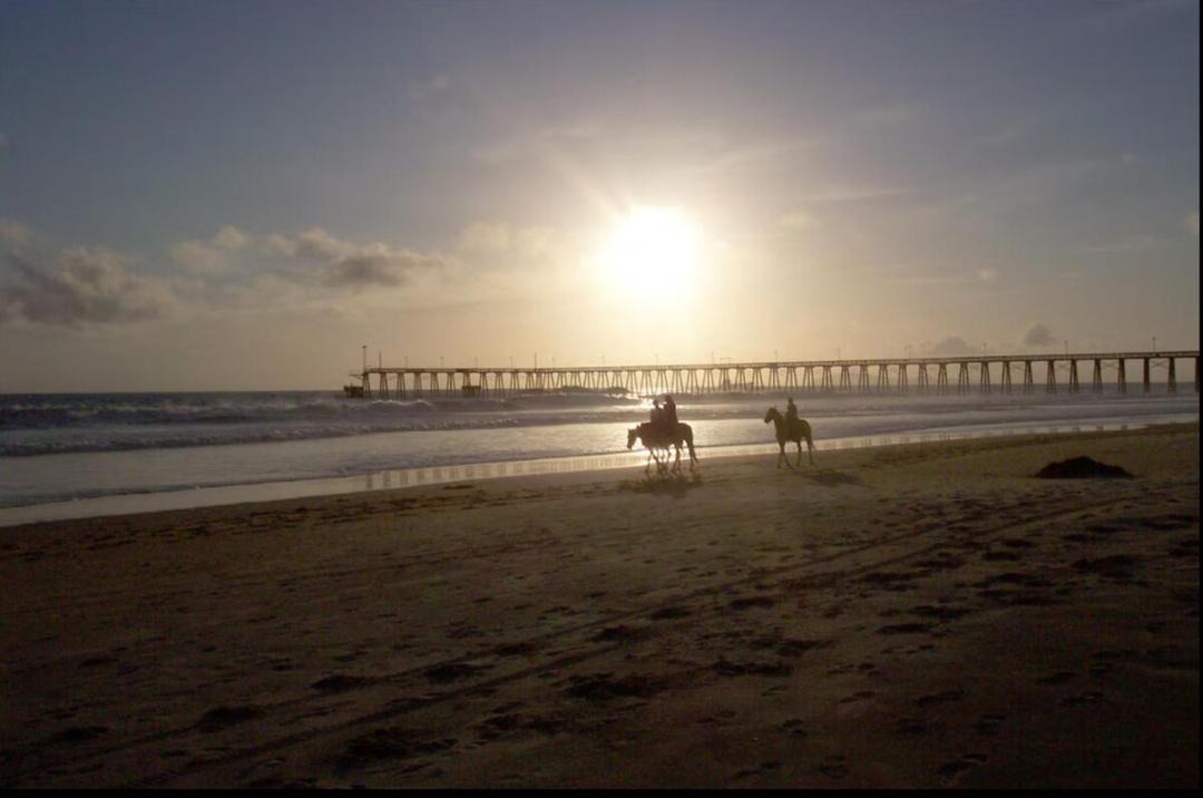 Photo of Others in Centro Playas