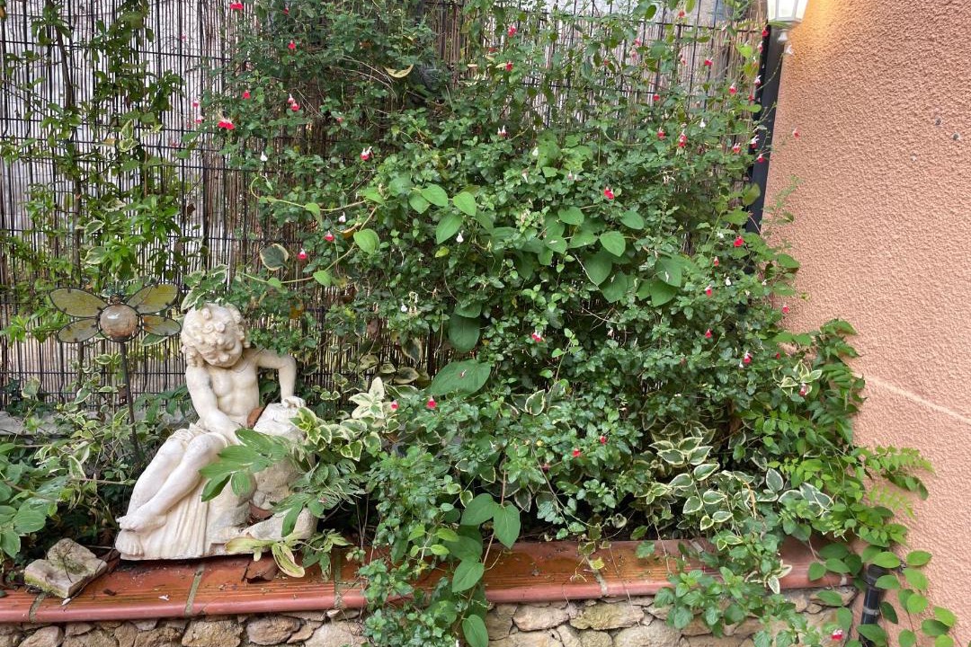 Photo of Others in Mirepoix