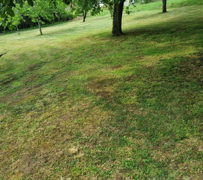 Photo of Outdoor in Mouzon