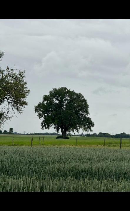 Photo of Others in Touville