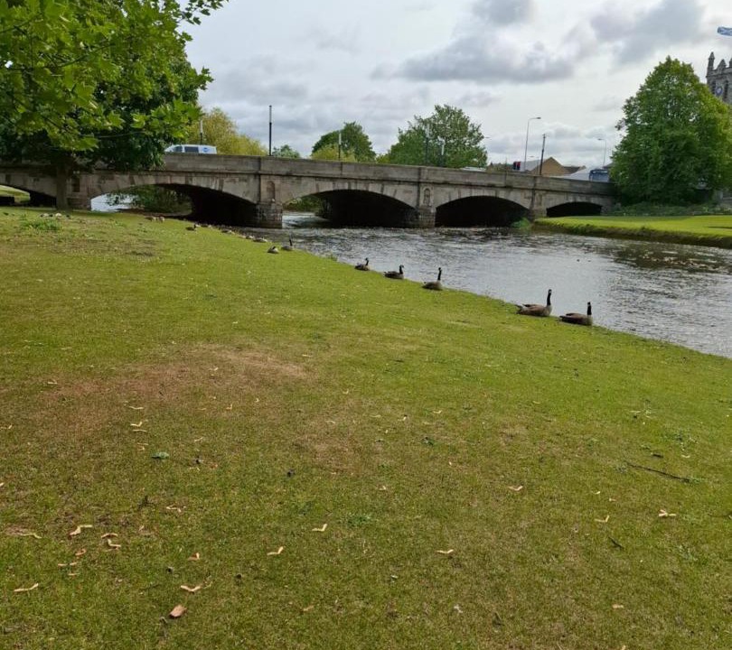 Photo of Others in Fisherrow