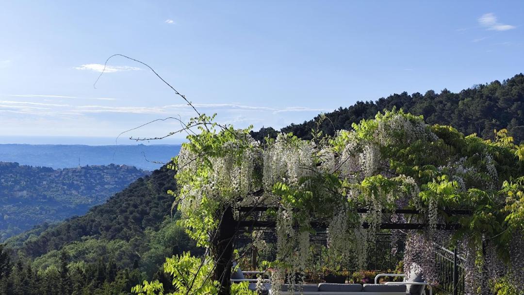 Photo of Others in Cabris