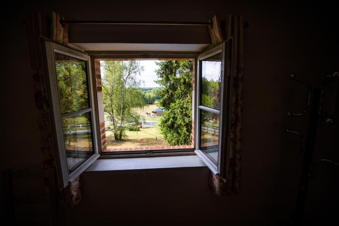 Photo of Others in Cour-Cheverny