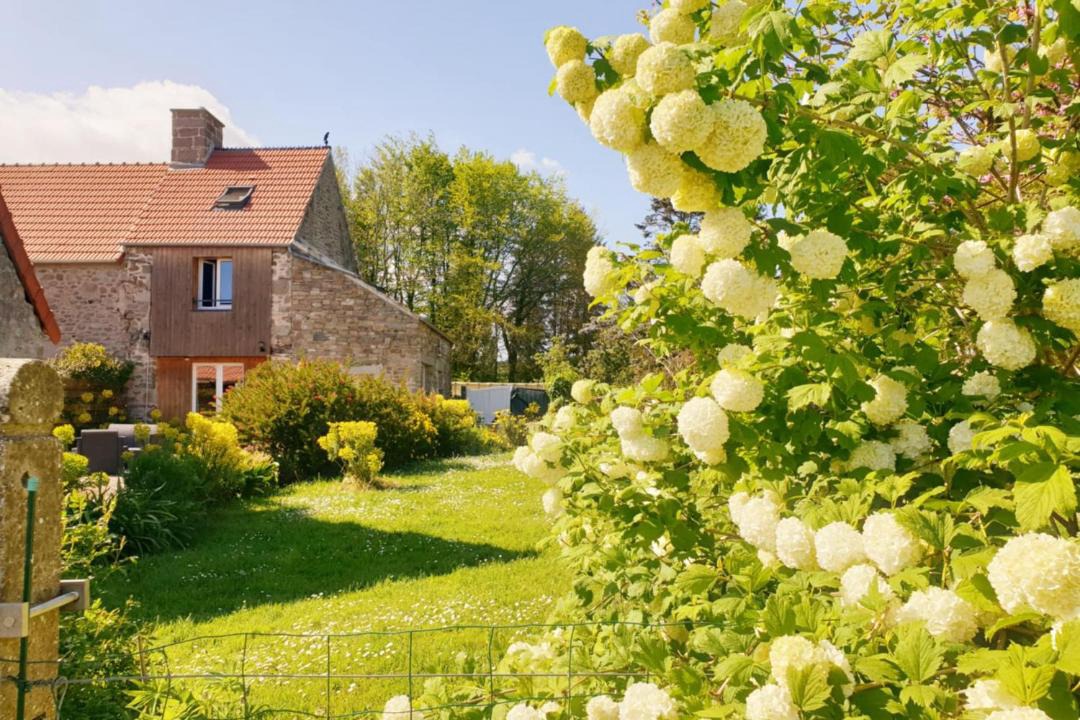 Photo of Others in Saint-Vaast-la-Hougue