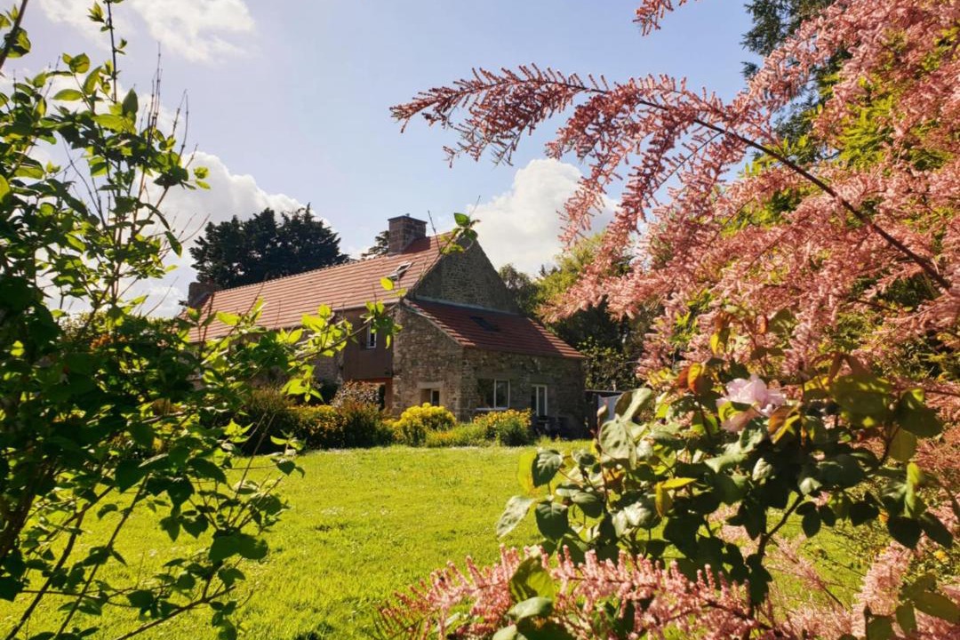 Photo of Others in Saint-Vaast-la-Hougue