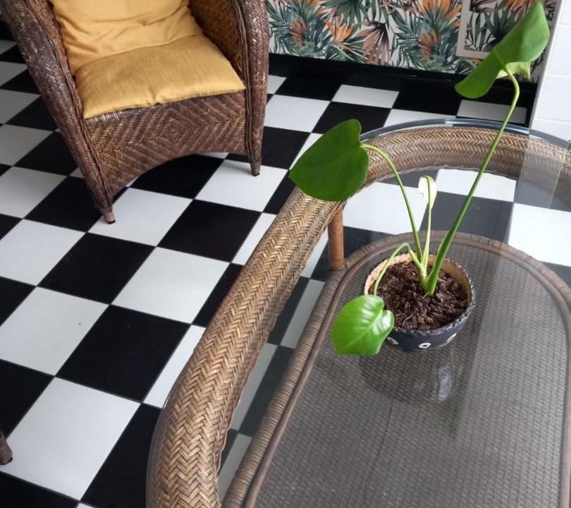 Photo of Others in Noyers-sur-Serein