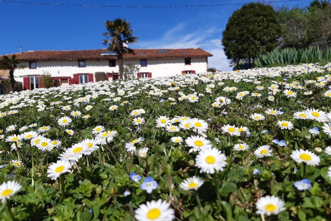 Photo of Others in Artigat