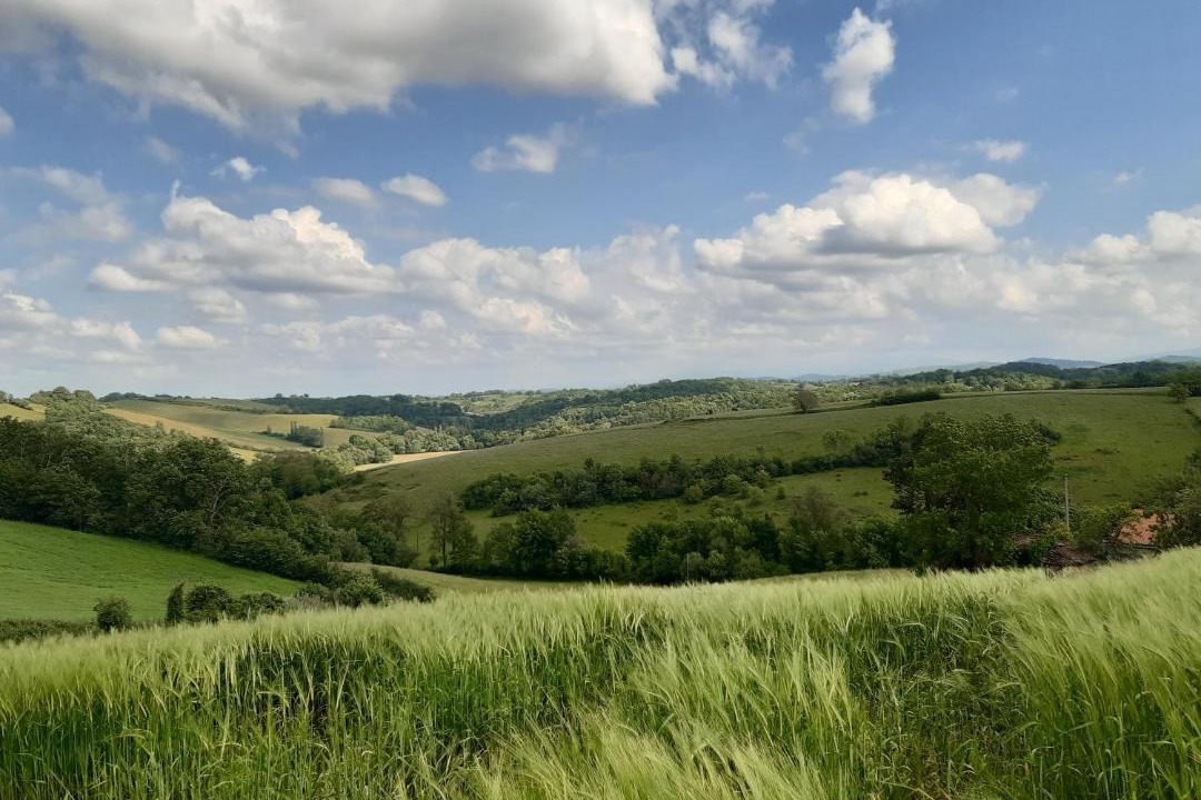 Photo of Others in Artigat