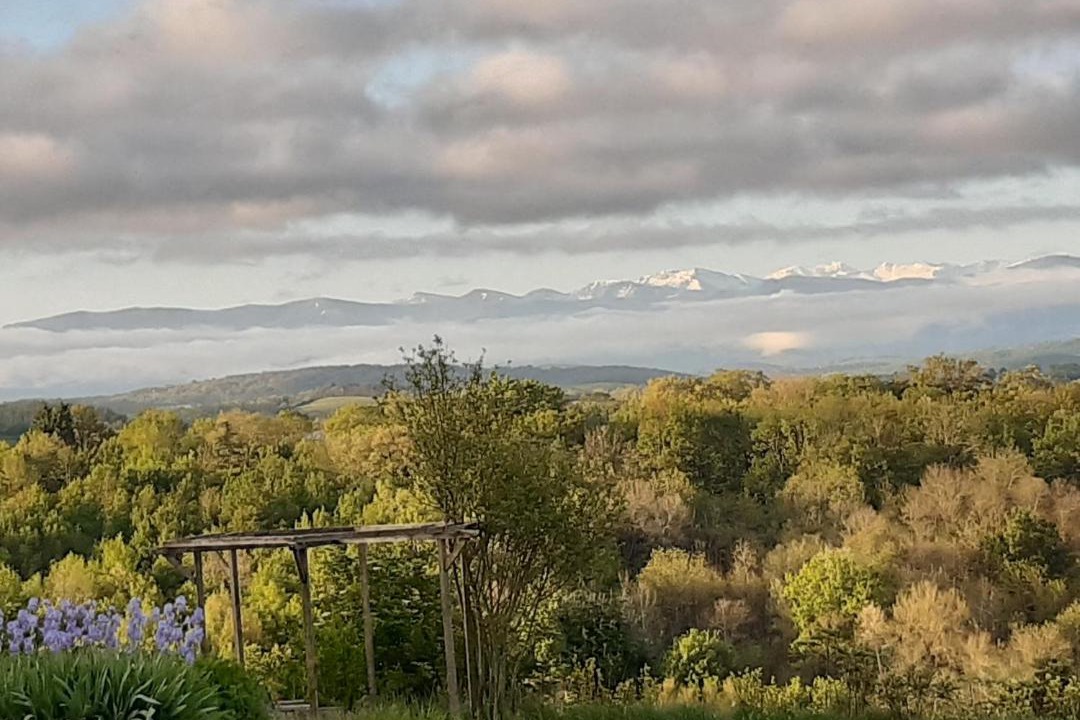 Photo of Others in Artigat