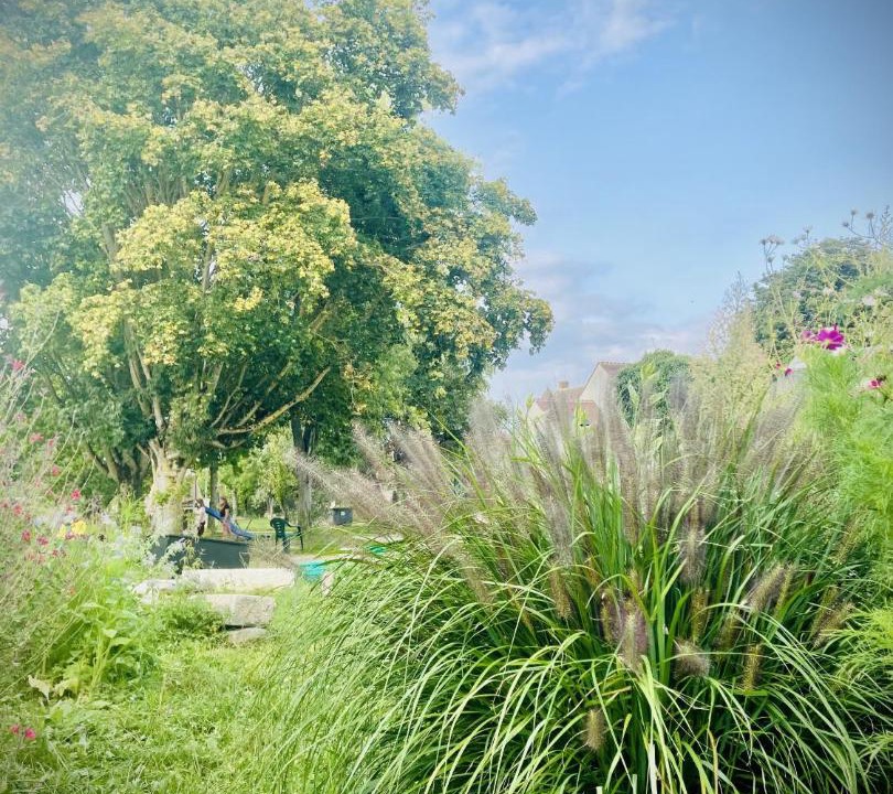 Photo of Outdoor in Egreville