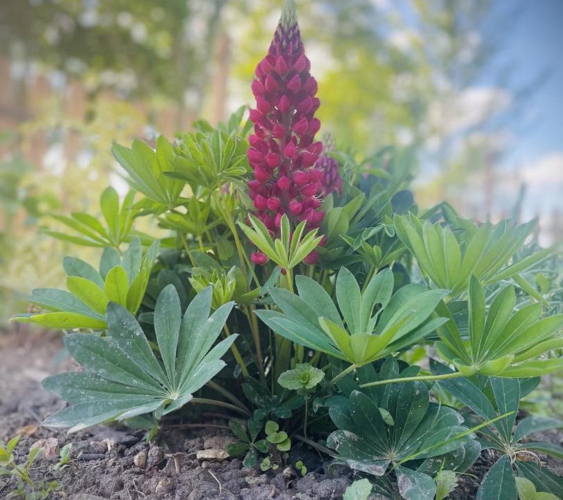 Photo of Outdoor in Egreville