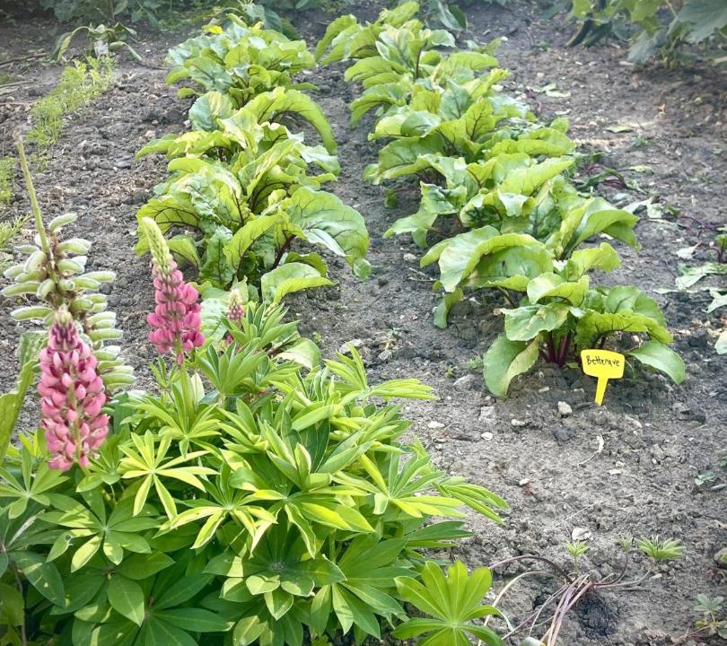 Photo of Outdoor in Egreville