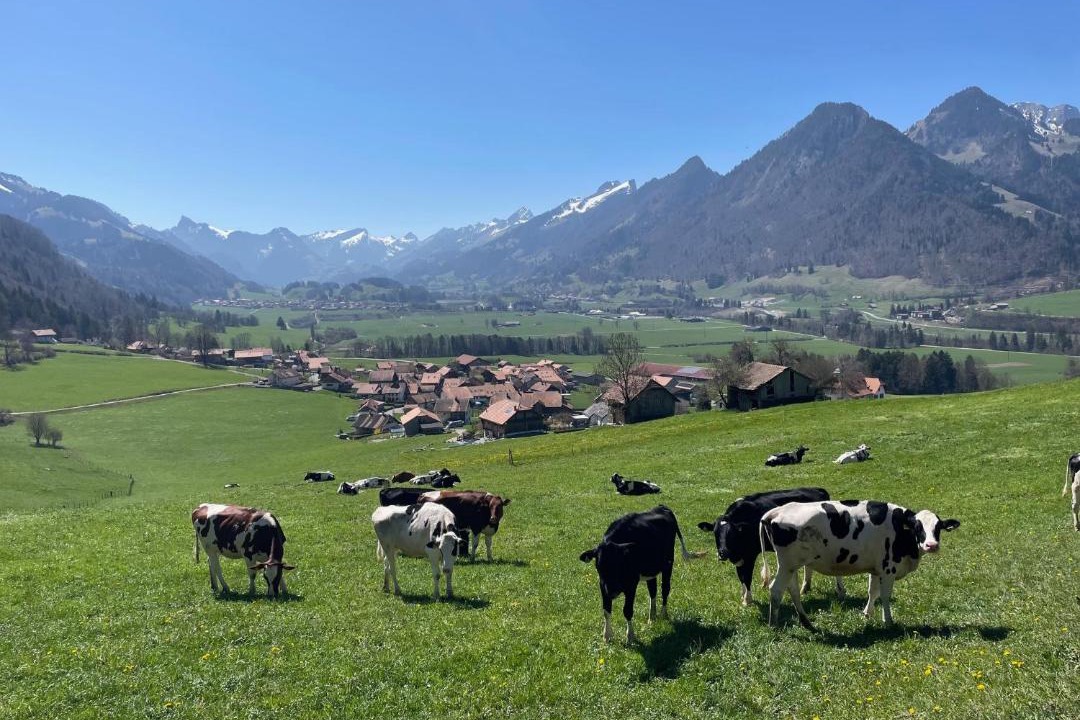 Photo of Others in Bas-Intyamon