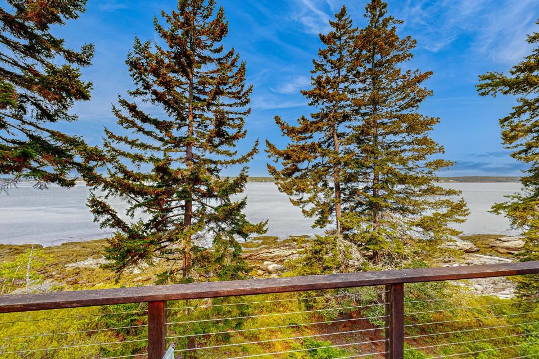 Photo of Others in West Southport