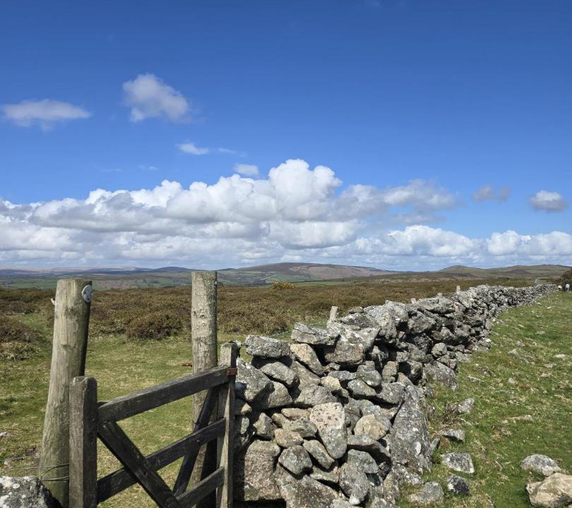 Photo of Others in Heligan
