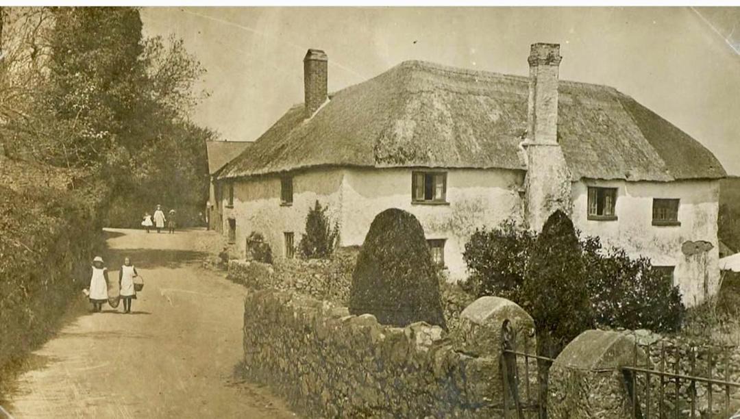 Photo of Others in Heligan