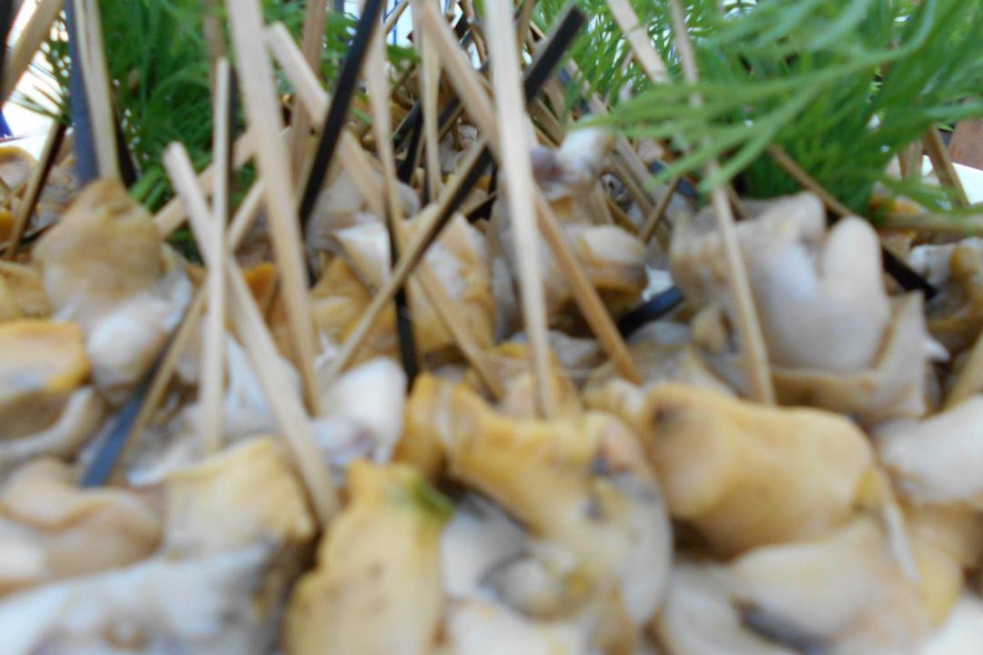 Photo of Others in Juvigny-sous-Andaine