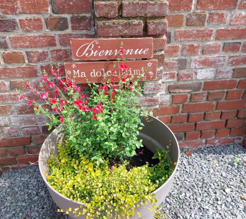 Photo of Others in Remy