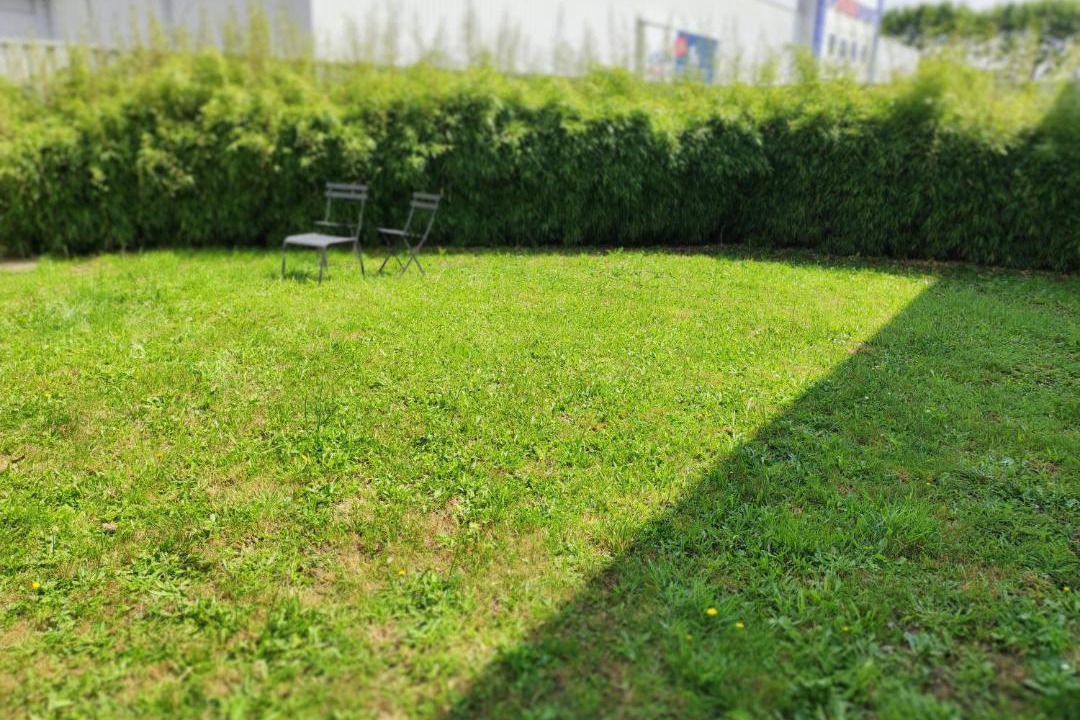 Photo of Others in Saint-Priest-en-Jarez