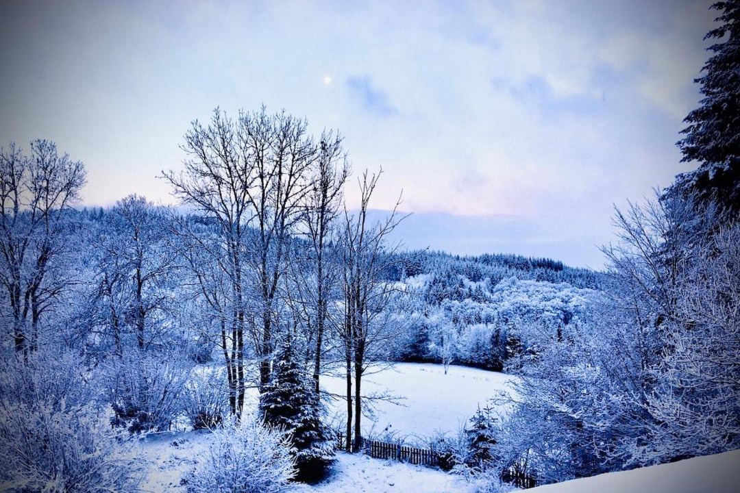 Photo of Others in Ambert