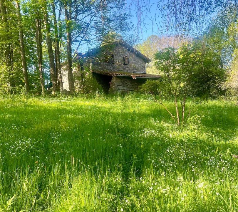 Photo of Others in Ambert