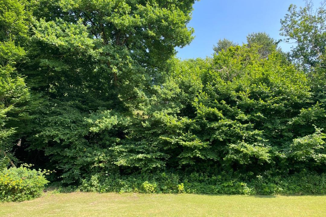 Photo of Outdoor in Bouloire