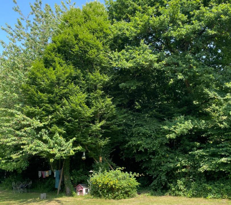 Photo of Outdoor in Bouloire