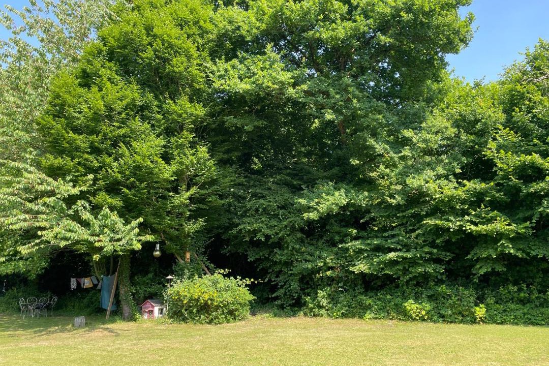 Photo of Others in Bouloire