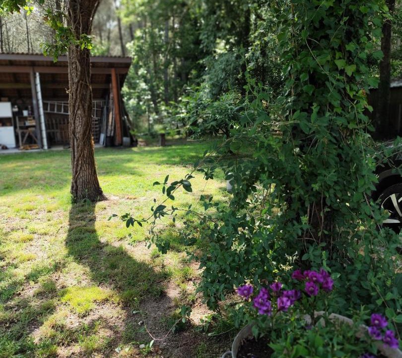 Photo of Others in Castres-Gironde