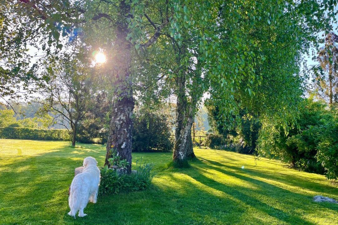 Photo of Others in Chamblac