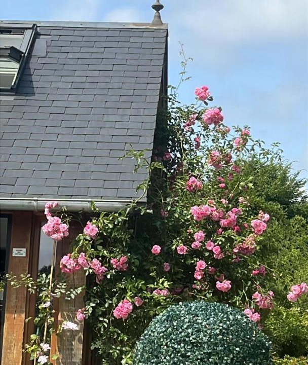 Photo of Others in Chamblac