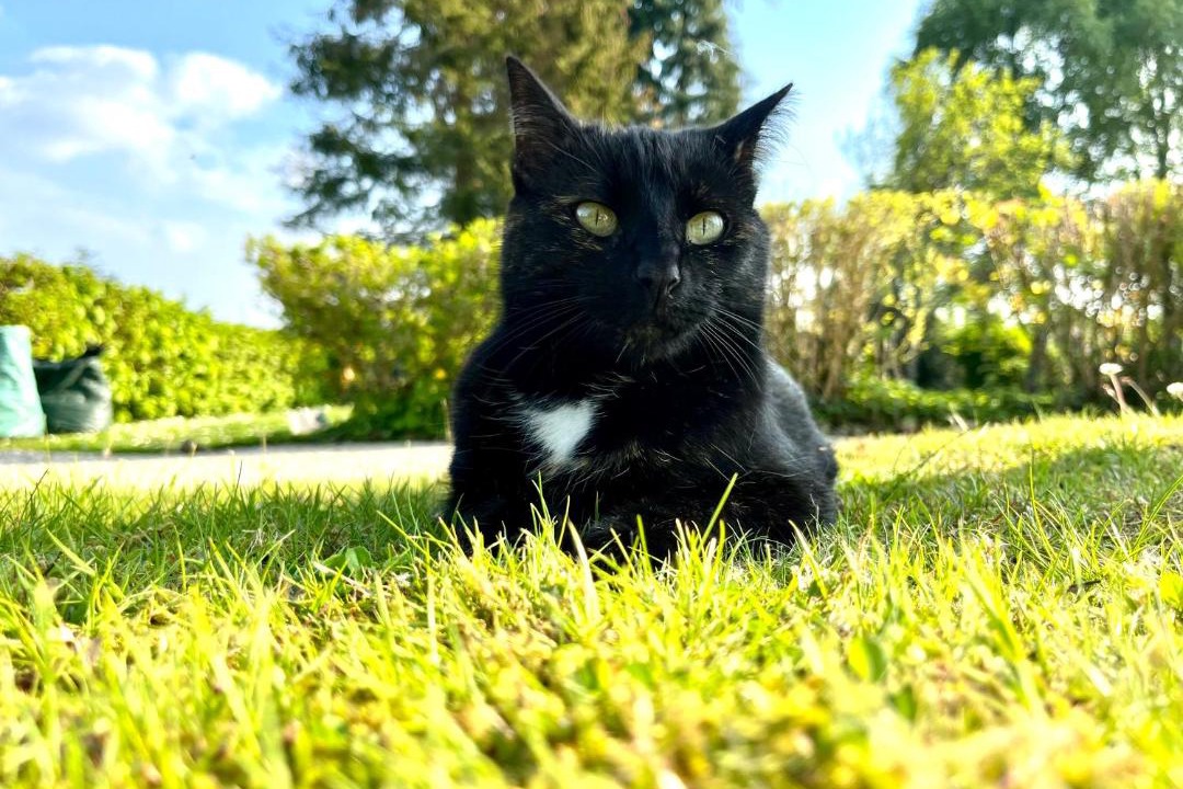 Photo of Others in Chamblac