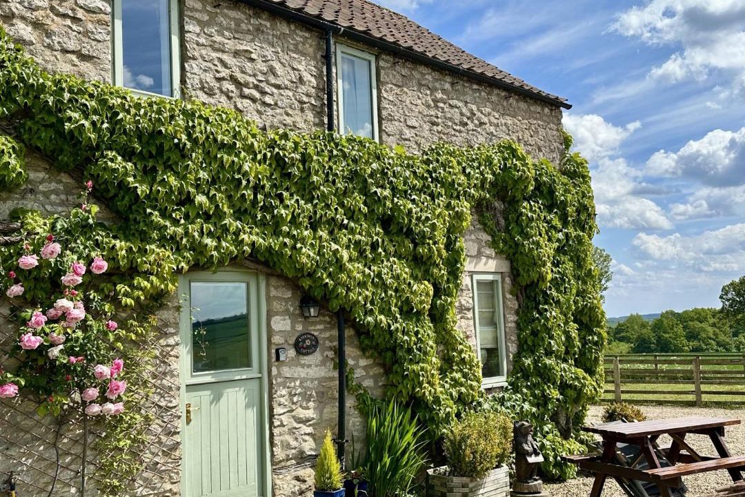 Photo of Others in Scawton