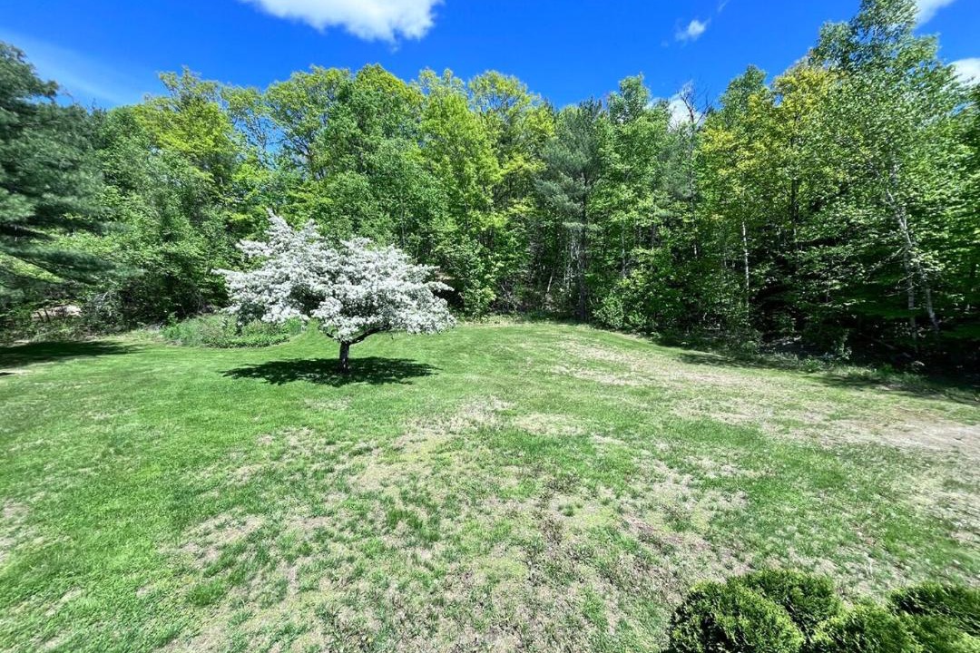 Photo of Others in North Jay