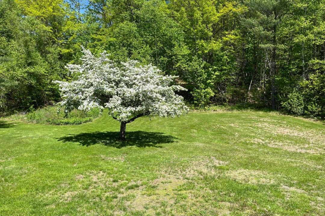 Photo of Outdoor in North Jay