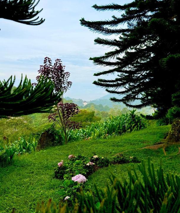 Photo of Others in Sungai Bertam