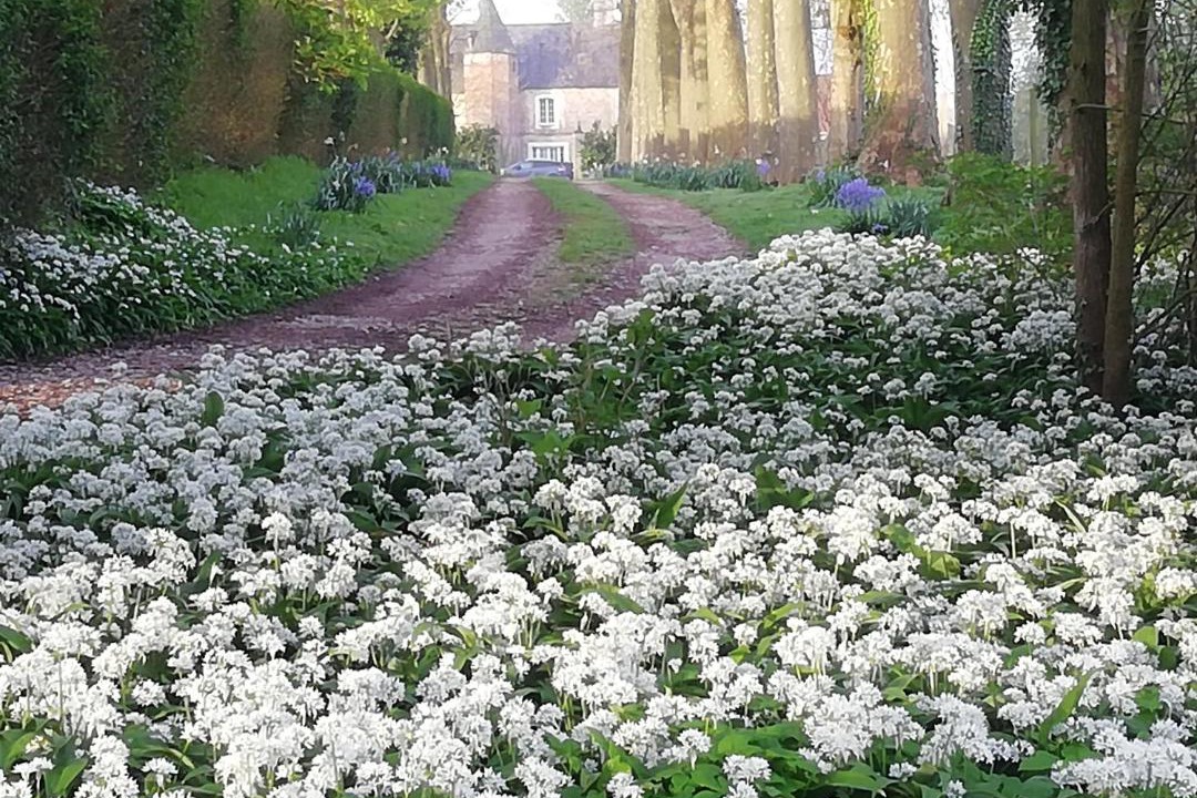 Photo of Others in Questrecques