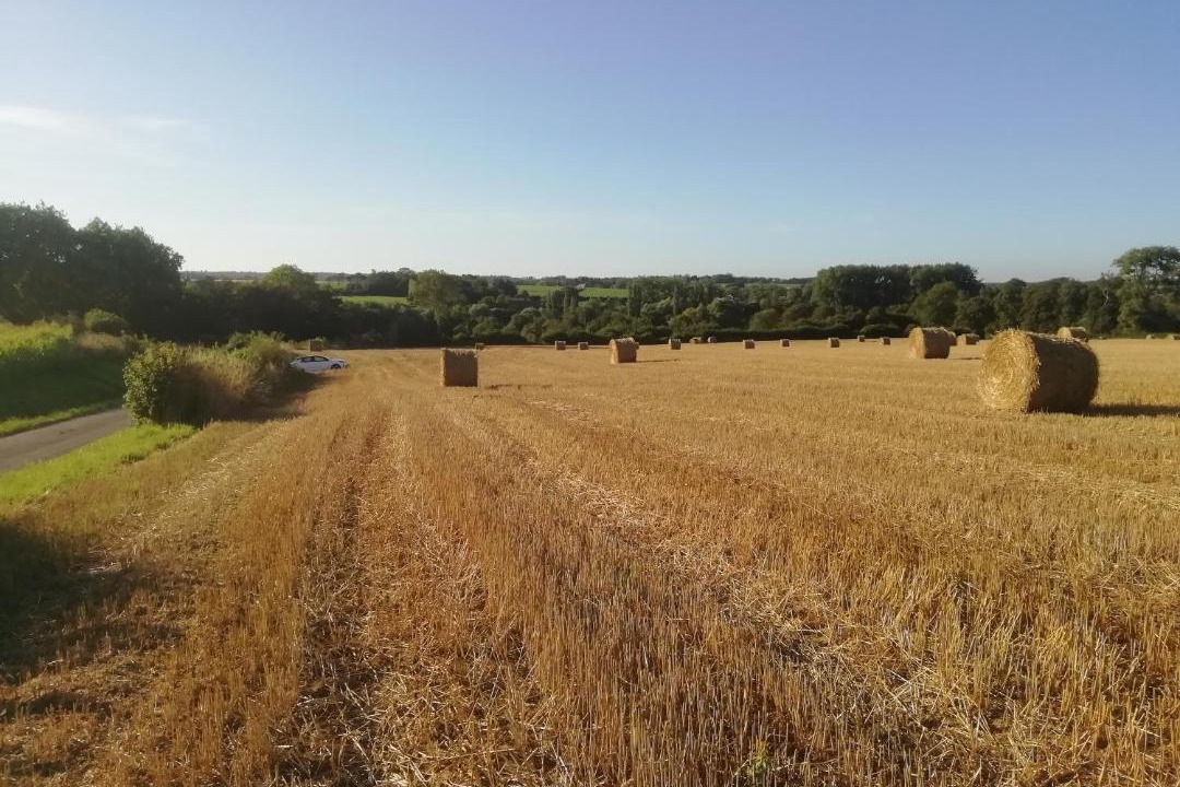 Photo of Others in Questrecques