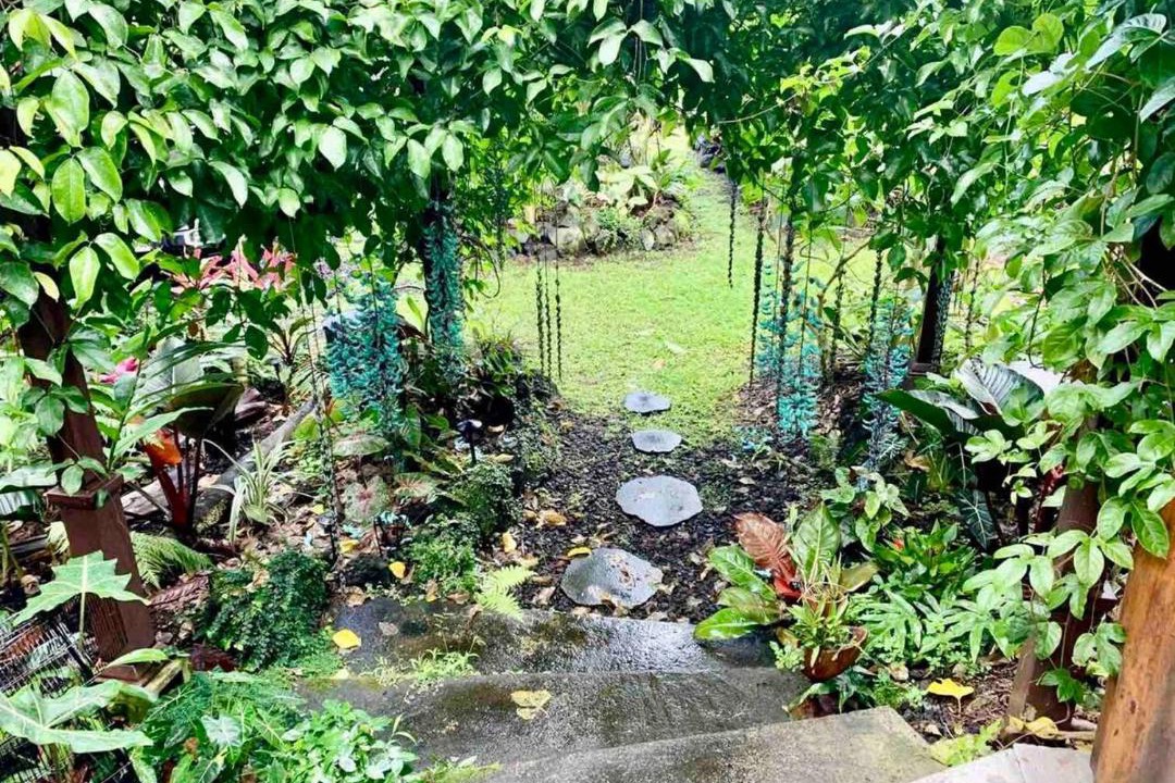 Photo of Others in Kehena