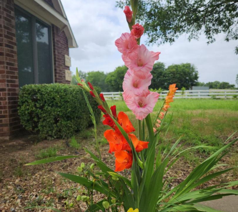 Photo of Outdoor in Point