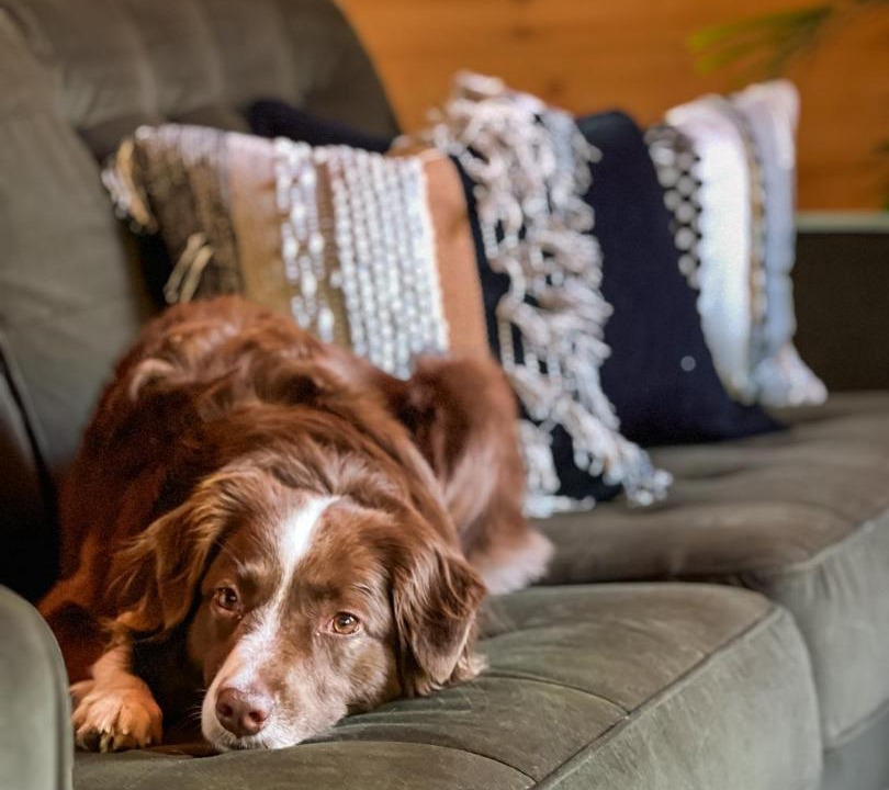 Photo of Others in Elka Park