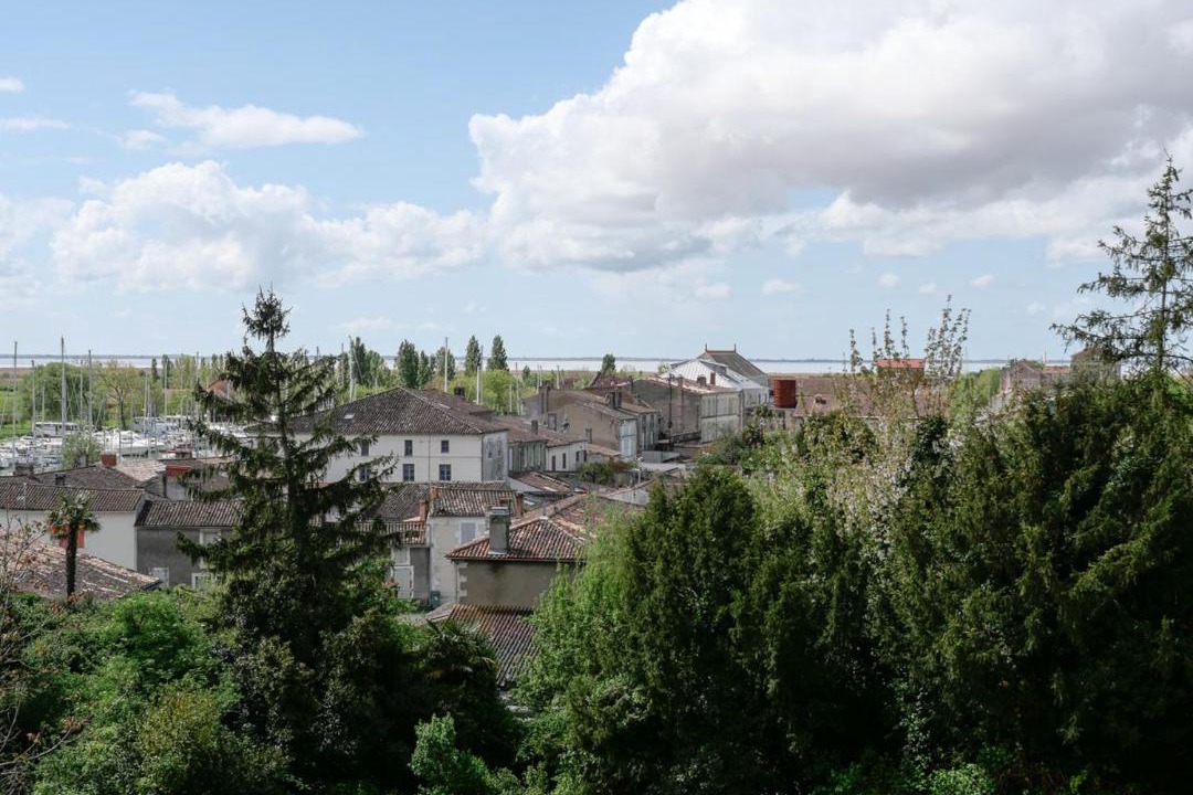 Photo of Others in Bergues