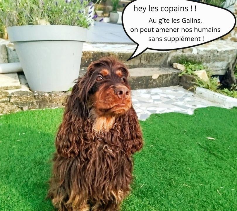 Photo of Others in Lux