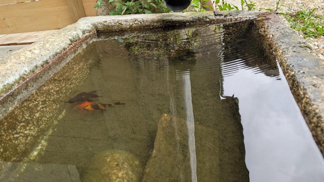 Photo of Others in Perouges