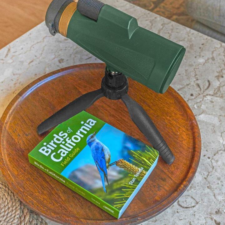 Photo of Others in Hacienda